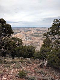 Harpers Corner Trail