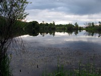 Helen McCabe State Park lake