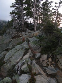 Huckleberry Creek trail