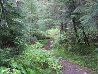 Huckleberry Trail