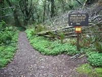 Humbug Mountain trail