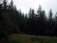 Humbug Mountain trail