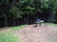 Humbug Mountain trail