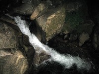 Humpback Creek at night