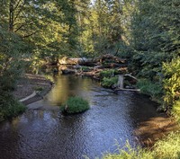 Issaquah Creek