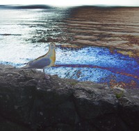 Jonathon Livingston 2001 The Poster