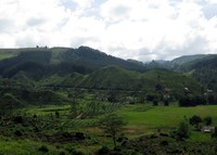 Kandy to Hatton train