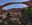 Landscape Arch