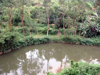 Maskeliya river bend