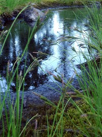 Matte Lake from 10000 feet
