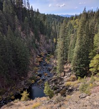 McCloud River