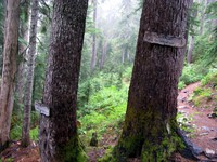 Melakwa Lake Tuscohatchie Lake trail junction