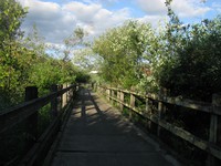 Mercer Slough bike trail