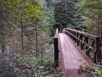 Middle Fork Snoqualmie bridge at Dingford Creek
