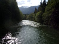 Middle Fork Snoqualmie from bridge