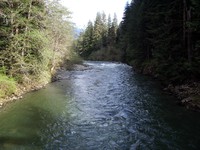 Middle Fork Snoqualmie from bridge