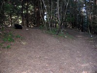 Middle Tiger Mountain