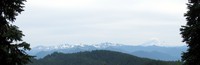 Mount Adams from Cowlitz Divide