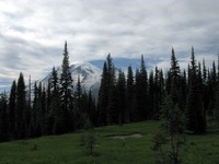 Mount Rainier from Cowlitz Divide