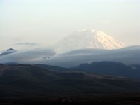Mount Rainier from Pinnacle Peak