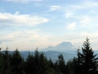 Mount Rainier from Taylor Mountain