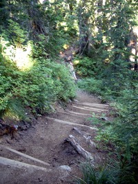 Mowich Lake to Spray Park Trail August