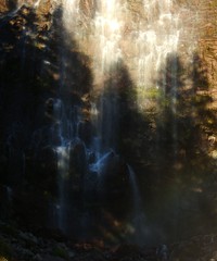 Mowich Lake to Spray Park Trail August