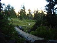 Mowich Lake to Spray Park Trail August