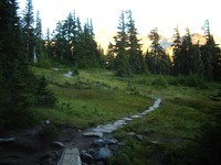 Mowich Lake to Spray Park Trail August