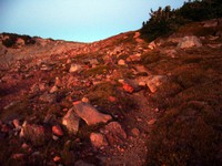 Mowich Lake to Spray Park Trail August