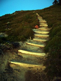 Mowich Lake to Spray Park Trail August