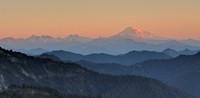 Mt Adams from above Chinook Pass