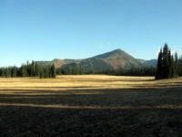 Mt Fremont lookout from Grand Park