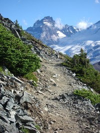 Mt Fremont trail with Little Tahoma