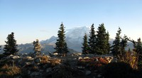 Mt Rainier from Bearhead Mt