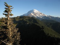 Mt Rainier from Florence Peak