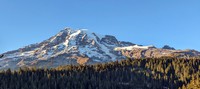 Mt Rainier from Stevens Canyon Road