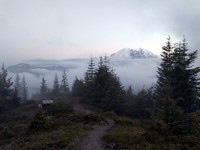 Mt Rainier from Suntop