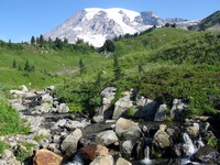 Mt Rainier from above Paradise