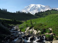 Mt Rainier from above Paradise