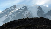 Mt Rainier from above Paradise