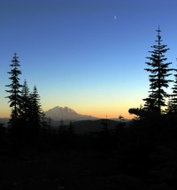 Mt Rainier from bush whack from geocache geocache