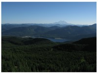 Mt Rainier from geocache wonkatania