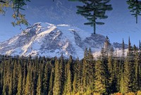 Mt Rainier in Reflection Lake