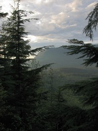 Mt Si from Cedar Butte