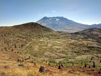 Mt St Helens from trail to Coldwater Peak