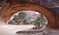 Navajo Arch