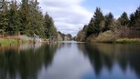 Nehalem Oregon slough time avg