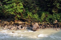 North Nooksack riverside