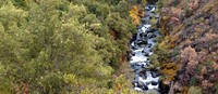 Northern California stream